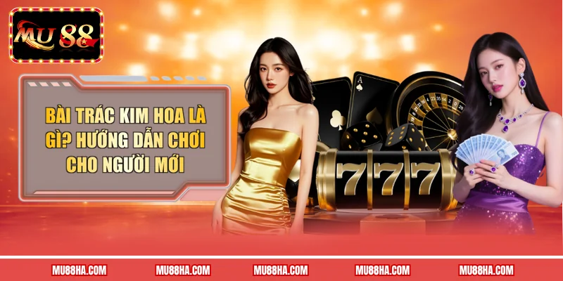 Bài Trác Kim Hoa Là Gì? Hướng Dẫn Chơi Cho Người Mới 